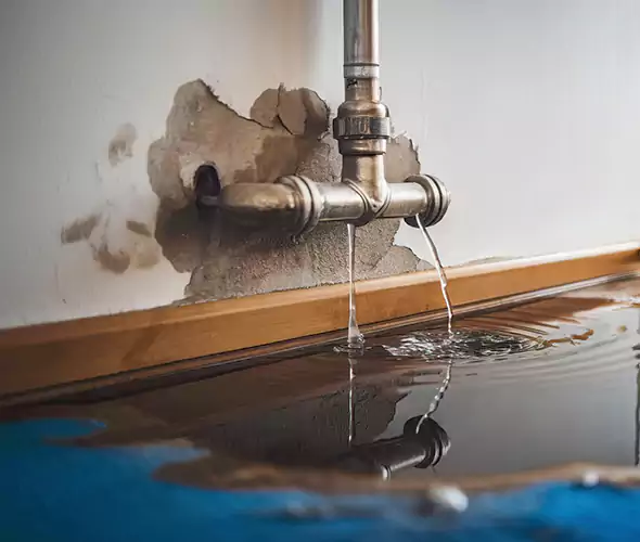 Professional Water Damage Restoration Experts in St. James, NY — Fast, Reliable & Certified