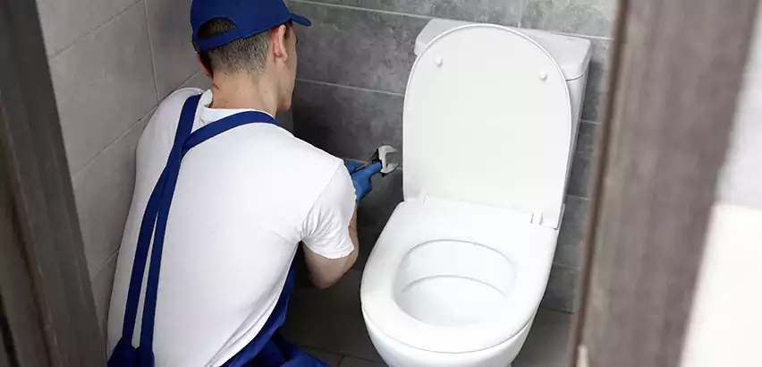 Toilet Lid Replacement in St. James
