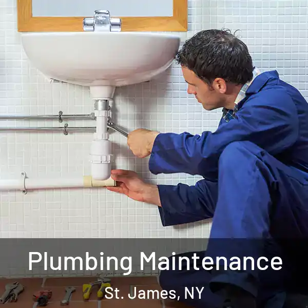  Plumbing Maintenance St. James, NY