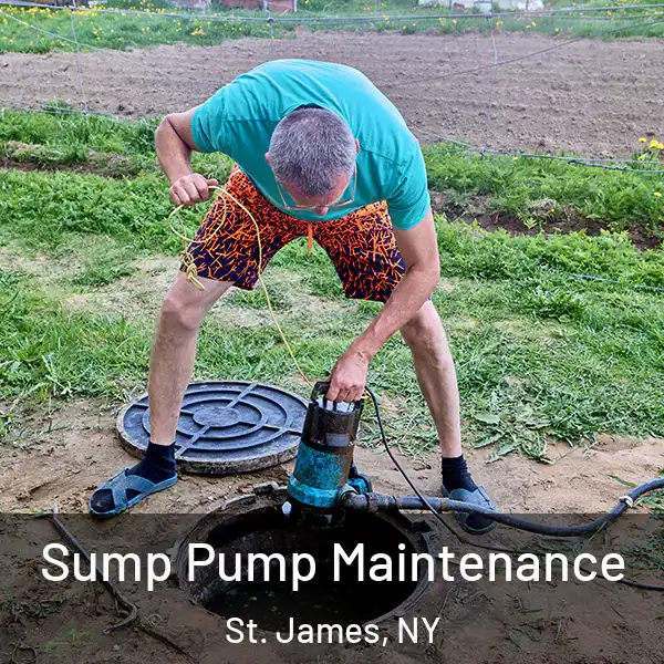  Sump Pump Maintenance St. James, NY
