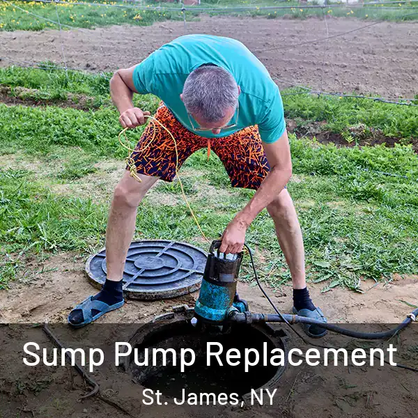  Sump Pump Replacement St. James, NY