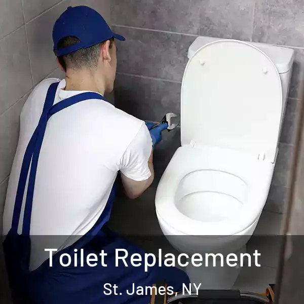  Toilet Replacement St. James, NY